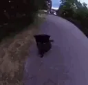 ok