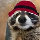 bucketracoon