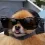 gamerbandit gamerbandit