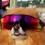 bikerbandit