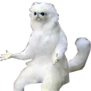 why_tf