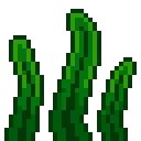 SeaWeed