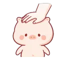 piggyPAT