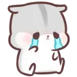 ZP2UHamstercry