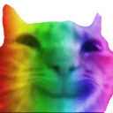 gay_cat