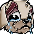 dogSad