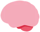smoothbraingang