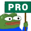 Pro Discord emoji