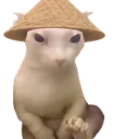 chingus