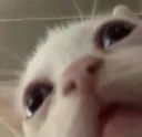 uhhh