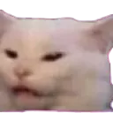 catwat
