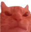CatMad
