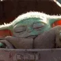 6843babyyoda