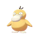Psyduck