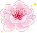 flowercute