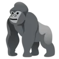 gorilla