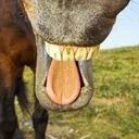 neighensteen neighensteen