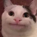 wh
