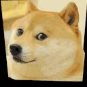hypnodoge