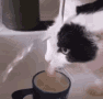 michi_sip Discord emoji