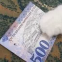 cash