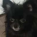 pablo