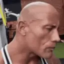 rocksus rocksus