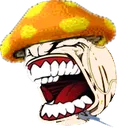 lfgcheef