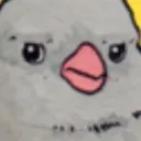 Bird_Wut