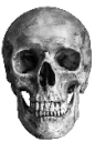 literalskull