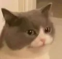 hum