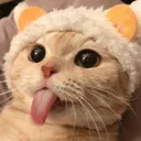 liliblep2