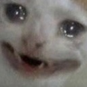 catsadboi Discord emoji