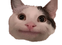 cathmmm Discord emoji