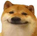 939scp