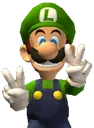 D_LUIGI_DoublePeace