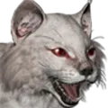 BobcatA