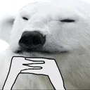 polarhmmm