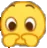 vergoinha