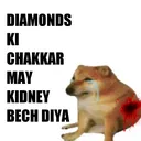 mbg_ripkidney