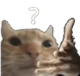 que