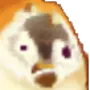 puggifear
