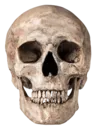 skull2