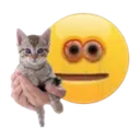 Cats cats Discord Emoji