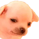 1334sadgedoge Discord Emoji