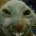 ratgaming