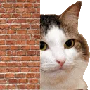 Sneakyboi Sneakyboi