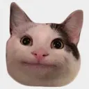 catwut
