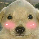 KS_blushingdog Discord emoji