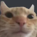 noobstare Discord Emoji